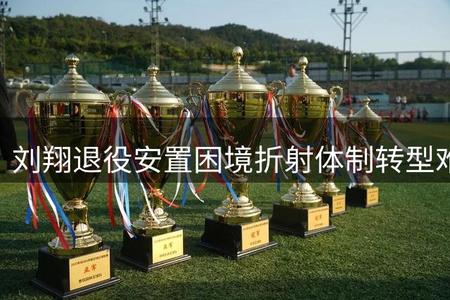 刘翔退役安置困境折射体制转型难题
