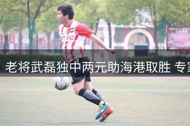 老将武磊独中两元助海港取胜 专家建议量身定制战术体系